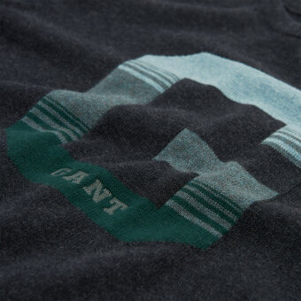 Gant - Gant - Logo Crew | Strik Charcoal Mel