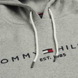 Tommy Hilfiger  - Tommy Hilfiger - Logo Flex Fleece Hoody | Sweatshirt Cloud