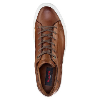Lloyd Sko - Lloyd  - Ajan | Sneakers 03 Cognac