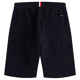 Tommy Hilfiger  - Tommy Hilfiger - Terry Logo | Shorts Desert Sky
