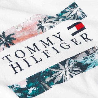 Tommy Hilfiger  - Tommy Hilfiger flag tee