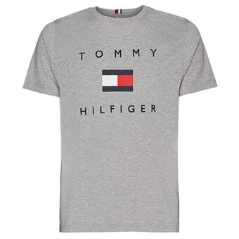 Tommy Hilfiger  - Tommy Hilfiger - Flag Print Organic | T-shirt Grey Melange