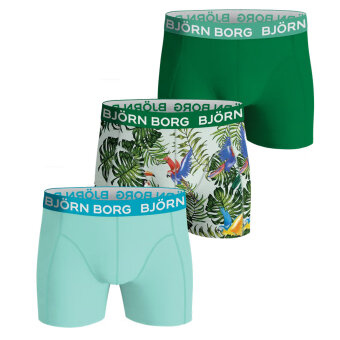 Bjørn Borg - Bjørn Borg - 3 pack tights shorts | MP002 Grøn