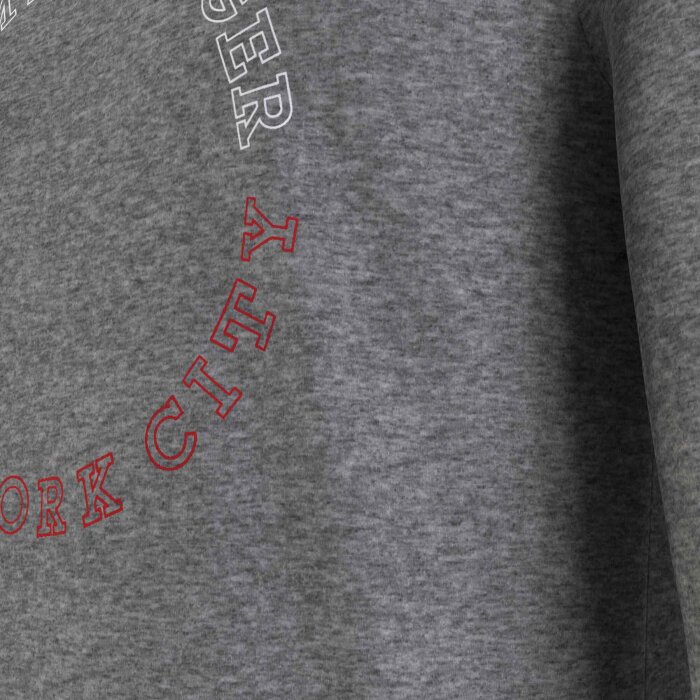 Tommy Hilfiger  - Tommy Hilfiger - Monotype roundle | L/S t-shirt Grey Heather