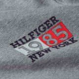 Tommy Hilfiger  - Tommy Hilfiger - TH new york flag | Sweatshirt grey heather