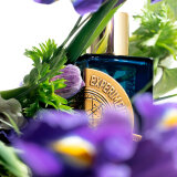 ETAT LIBRE D ORANGE - Etat Libre D'Orange - Experimentum Crucis 100 ML | Parfume ETAT LIBRE D ORANGE - Etat Libre D'Orange - Experimentum Crucis 100 ML | Parfume