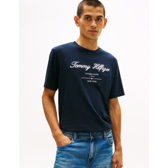 Tommy Hilfiger  - Tommy Hilfiger - Script logo tee | T-shirt Desert Sky