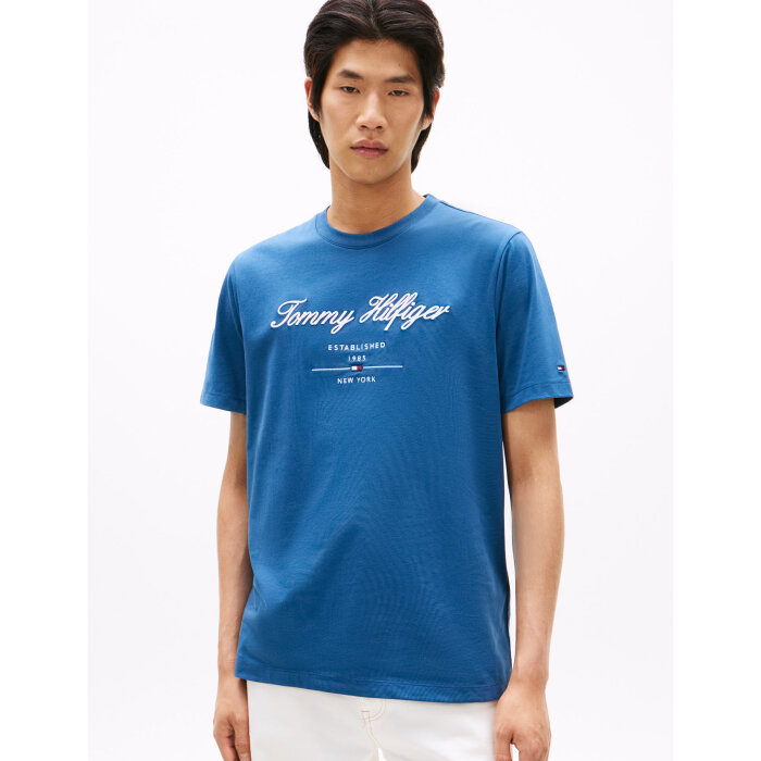 Tommy Hilfiger  - Tommy Hilfiger - Script logo tee | T-shirt Aegean Sea