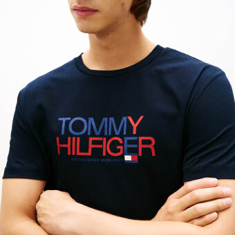 Tommy Hilfiger  - Tommy Hilfiger - Brand love big text tee | T-shirt Desert Sky