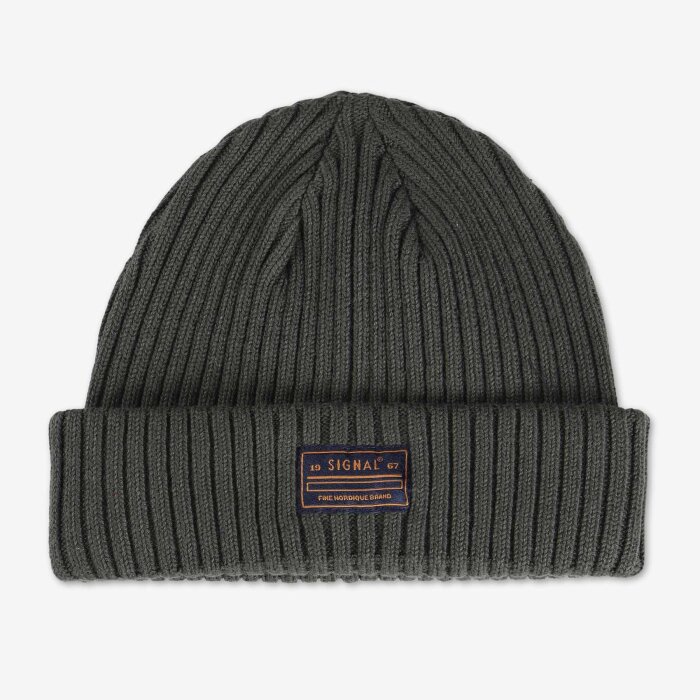 Signal - Signal - Beanie | Hue 67635