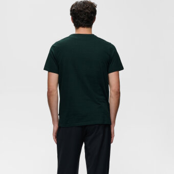 Matinique - Matinique - Jermane | T-shirt Scarab Matinique - Matinique - Jermane | T-shirt Scarab